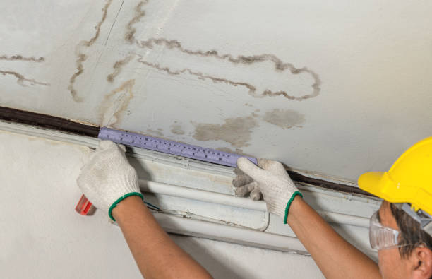 Reliable Sewage Cleanup contractor in Round Lake, IL by Water Damage Irwin